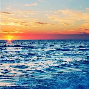 Meet your Posher, Danaisy